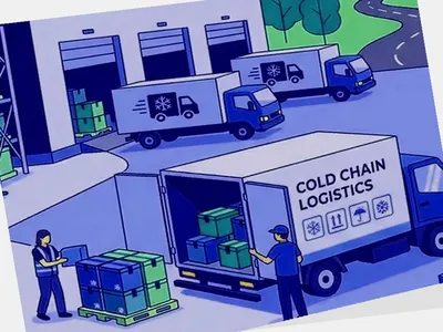 Construction of Xuzhou Logistics Cold Chain Official Website